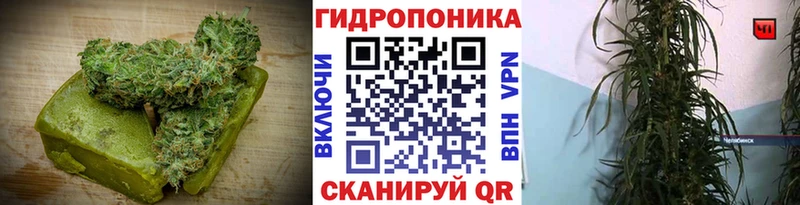 Cannafood конопля Сельцо