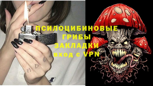 мескалин Нягань