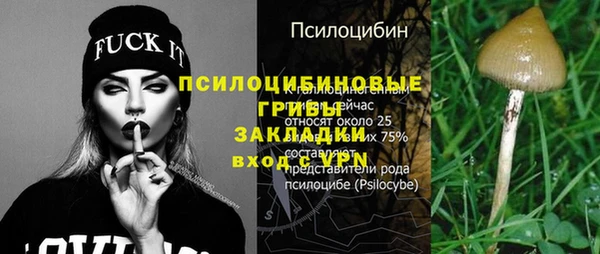 прущая мука Няндома