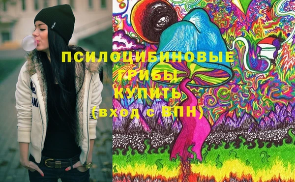 прущая мука Няндома